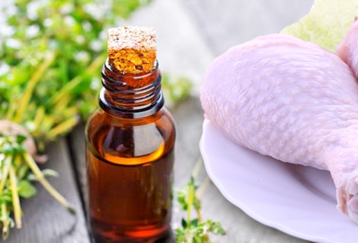 ¿Cuál es el efecto antimicrobiano del aceite de tomillo en el pollo