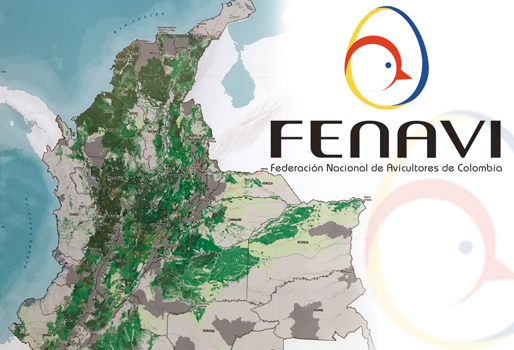 Fenavi dio a conocer el mapa avícola de Colombia | CONtexto ganadero ...
