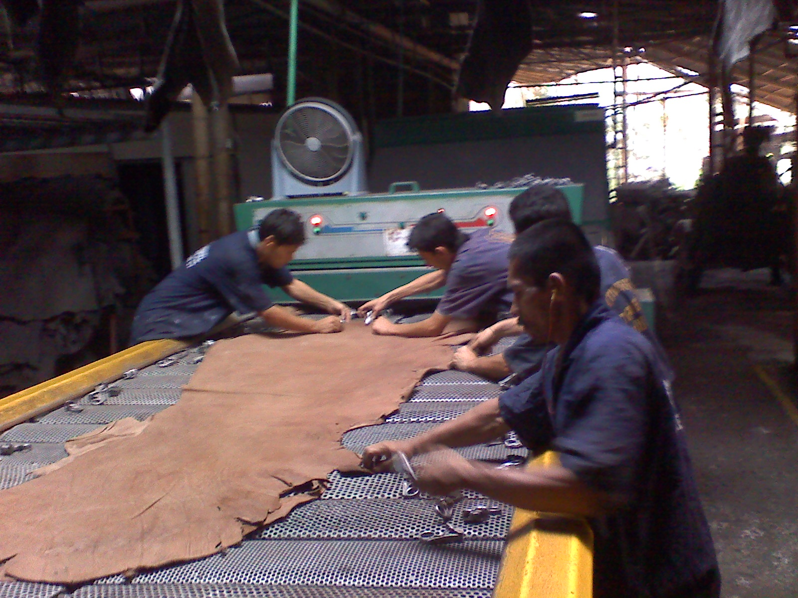 Así es el curtido de la piel de bovino CONtexto ganadero Noticias