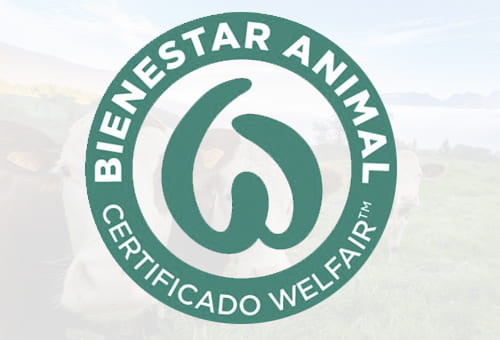 La Certificaci n Welfair Aceptada Como Est ndar Internacional En la-certificaci-n-welfair-aceptada-como-est-ndar-internacional-en