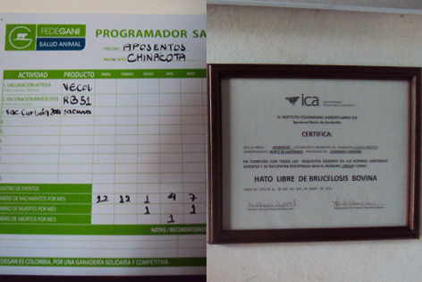Buenas Prácticas Ganaderas en Producción de leche. Foto: Óscar Leonardo Jiménez, Fedegán.