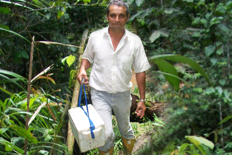 Muestreo brucelosis Guaviare