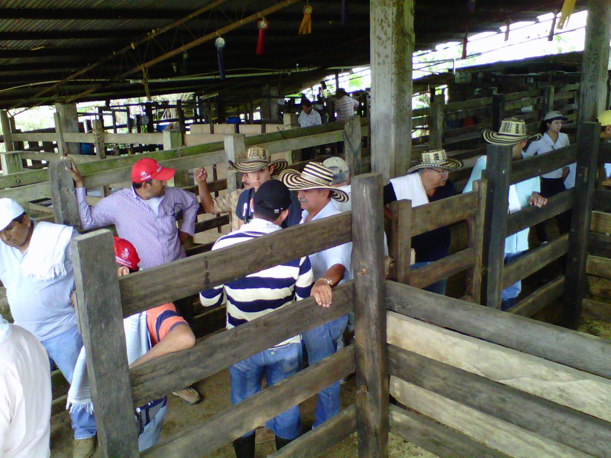 Recorrido de finca en Florencia - Caquetá. Foto: Fedegán Recorrido de finca en Florencia - Caquetá