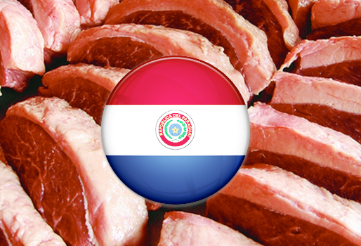 Paraguay impulsa plan de promoción de carnes a escala internacional