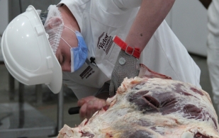 Ganadería, ganadería colombia, noticias ganaderas, noticias ganaderas colombia, CONtexto ganadero, escuela de carniceros, como ser carnicero, qué se necesita para ser carnicero, donde estudiar carniceria, como prepararse para ser carnicero, que se requiere para ser carnicero, Escuela Argentina de Oficios de la Carne, como estudiar en la Escuela Argentina de Oficios de la Carne, bichos de campo, 