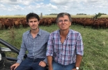 El Ing Agr Agustín García Fernández y el MV Martín García Fernández, de la firma SGF Consultora, explican, en la primera parte de este blog, Cómo enfocar el tema de las mermas. Foto: Cortesía Cría, Cómo lograr la menor pérdida posible de terneros desde preñez al destete - Parte 1, abortos por causas infecciosas o parasitarias, distocias (problemas al parto) y las diarreas perinatales, diarreas, Las vacunas específicas aplicadas al final de la gestación mejoran la calidad del calostro, CONtexto ganadero, noticias ganaderas, cría, vacas