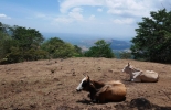 Foto:www.un-redd.org