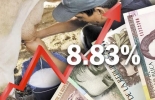 Incremento del precio de leche pagado al productor