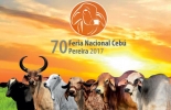 La versión 70 de la Feria Nacional Cebú tendrá lugar en la capital de Risaralda del 29 de noviembre al 3 de diciembre. Foto: asocebu.com Asocebú, 70 Feria Nacional Cebú, Feria Nacional Cebú, Pereira Feria Asocebú, feria nacional cebú pereira, Asocebú Colombia, pereira ganadería, ganadería colombia, Asociación Angus Brangus Colombia, Brangus, CONtexto ganadero, ganadería Colombia, Noticias ganaderas Colombia