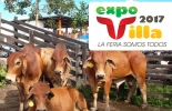 La feria comercial Expo Villa 2017 se realizará entre el 9 y 10 de diciembre en Villagarzón, Putumayo. Foto: Comité de Ganaderos y Productores pecuarios de Villagarzón Expo Villa 2017, ganaderos Villagarzón Putumayo, ganaderos Villagarzón 2017, Eventos diciembre 2017, Ferias ganaderas Colombia diciembre 2017, ferias ganaderas Colombia 2017, ferias ganaderas diciembre 2017, ferias, Ferias Ganaderas, ferias Colombia, Eventos ganaderos, eventos ganaderos colombia, CONtexto ganadero, ganadería colombia, noticias ganaderas Colombia