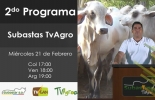 El programa se emitirá por el canal Tv Agro el próximo miércoles 21 de febrero a las 5 pm. Foto: Cortesía Segundo programa Subastas Tv Agro 21 de febrero 2018, Subastas Tv Agro 2018, Subastas Tv Agro Febrero, TVGAN 2018, Subastas TvAgro, Subastar 2018, venta de ganado por televisión, venta de ganado en línea, venta de ganado Internet, vender ganado por Internet, comercializadora de ganado, CONtexto ganadero, ganaderos colombia, noticias ganaderas colombia