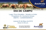 Esta es la invitación de la asociación para el segundo día de campo de 2018. Foto: Asojersey Día de Campo Asojersey 2018, Día de Campo Asojersey mayo 2018, segundo día de campo Asojersey, Finca Versalles, ganadero Humberto Amaya, presidente Asojersey 2018, proyectos Asojersey, actividades Asojersey 2018, cambio junta directiva Asojersey, Fedegán Asojersey 2018, CONtexto ganadero, ganaderos colombia, noticias ganaderas colombia