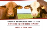 Las razas Angus y Hereford, con sus cruces Brangus y Braford, serán protagonistas en esta exposición nacional. Foto: Cortesía Feria Asociación Angus & Brangus 2018, Feria AsoAngusBrangus 2018, Comprar Brangus en Colombia, evento Brangus 2018, día de campo Angus, día de campo brangus, noticias Angus Colombia, noticias Brangus Colombia, información Brangus Colombia, Asociación Angus & Brangus, CONtexto ganadero, ganaderos colombia, noticias ganaderas colombia