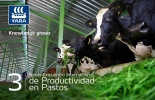 Este es el primer encuentro de productividad en pastos organizado por Yara en Bogotá, y el tercero en el país. Foto: Yara Colombia Tercer Encuentro de Productividad de Pastos, Tercer Encuentro de Productividad de Pastos de Yara Colombia, empresa Yara, productividad pastos, producción ganadera pastos, pastos ganadería, elegir mejor pasto ganadería, CONtexto ganadero, ganaderos Colombia, noticias ganaderas Colombia