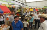 El evento, que reúne a lo más selecto de la ganadería bovina y equina del Huila, también tendrá muestras comerciales. Foto: lavozdelaregion.co Expoagrohuila 2018, feria Neiva 2018, feria ganadera Neiva Huila 2018, sector agropecuario Huila, Comité Ganaderos Huila, ganadería de Huila, ganadería de Neiva, ferias ganaderas, CONtexto ganadero, ganaderos Colombia, noticias ganaderas Colombia