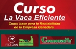 Quien quiera mejorar las cifras económicas de su ganadería debe, desde ya, inscribirse, pues los cupos son limitados -no son más de 30 los participantes-. Foto: Cortesía Fedegán, Cogancevalle, curso la Vaca Eficiente, Cartago Valle, romper mitos, llevar registros, estudio de caso, Ganadería, ganadería colombiana, noticias ganaderas, noticias ganaderas Colombia, CONtexto ganadero