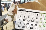 La región Caribe tendrá 2 importantes exposiciones en febrero: Montería (Córdoba) y Arjona (Bolívar). Foto: guiadelnino.com - cenfer.com Eventos ganaderos febrero 2019, cursos ganaderos, eventos ganaderos de 2019, ferias ganaderas de 2018, Ferias ganaderas Colombia febrero 2019, ferias ganaderas Colombia 2019, ferias ganaderas febrero 2019, ferias, Ferias Ganaderas, ferias Colombia, Eventos ganaderos, eventos ganaderos colombia, feria ganadera febrero 2019, CONtexto ganadero, ganaderos colombia, ganadería colombia, noticias ganaderas colombia