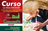 El curso incluye la evaluación personalizada de cada finca. Ilustración: CONtexto ganadero Colombia, Fedegan, Escuela de Formación Ganadera de Fedegán, Fedegán capacitación, "La Vaca eficiente como base para la rentabilidad de la empresa ganadera, leche, FABEGÁN, Oscar Ospina,", ganadería colombiana, noticias ganaderas Colombia, Contexto ganaderos, vacas