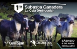 Seguridad y confianza para comprar ganado mediante subastas. Foto: Cencogan_subasta_ganadera Subasta, precios, públicos, bovino, ceja, kilometro, tendrá, coliseo, ferias, cimercializar, comercialización, lotes, razas, jersay, pardo suizo, holstein, comercial, convocatoria, incluyentes, financiera, transparentes, conforma, negociaciones, CONtexto ganadero, ganaderos Colombia, noticias ganaderas Colombia