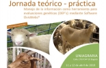 Aprenda de herramientas útiles de ovinos y/o caprinos. Foto: uniagraria.edu.co Ovinos, caprinos, DEPs, DEP, jornada, evento, herramienta, infomraicón, manejo, evaluación, evaluaciones, genéticas, mediante, software, OvisWebs, uniagraria, chihuahua, universidad, costo, ministerio, agricultura, personas, registros, donde, cuando, decano, programa, diferencia, esperadas, progenie, CONtexto ganadero, ganaderos Colombia, noticias ganaderas Colombia
