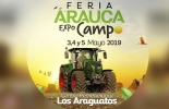 El territorio araucano busca volver a ser una región de destino turístico y de inversión, luego de tanto años de problemas. Foto: Foto: Cortesia exhibición, razas, caballos, ganaderos, agricultores, Ganadería, condiciones, trópico, bajo, alimentación, adicional, esto, en, es, homenaje, turísticas, promueven, títulos, tarde, toros, público, coleados, departamento, Arauca, adaptables, capacitaciones, desarrollo, tecnologiaco, Tecnología, maquinaria, CONtexto ganadero, ganaderos colombia, noticias ganaderas colombia