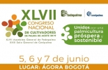 Uno de los temas que se tratará en en el evto será: Productividad del cultivo de la palma de aceite en Colombia y Mecanismos de apoyo y fomento agrícola en Estados Unidos. Foto: Pedepalma Fedepalma, XLVII Congreso Nacional de Cultivadores de Palma de Aceite, Unidos por una palmicultura próspera y sostenible, CONtexto ganadero, noticias ganaderas, sector agrícola