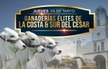 Más de 800 animales van a ser vendidos durante la actividad. Foto: Cortesía. Ganadería, ganadería colombia, noticias ganaderas, noticias ganaderas colombia, CONtexto ganadero, Sugaberrio, Subasta de Ganaderías Élites de la Costa y el Sur del Cesar, Hacienda Jhal, Aguachica, omaira guisao benítez
