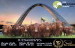 La asociación Beefmaster cumple 10 años de estar en el mercado colombiano.Foto: Cortesia Beefmaster, primera, década, asociación, últimos, dos, años, realmente, forma, acelerada, ganaderos, están, conociendo, raza, viendo, realmente, hecha, trópico, además, ven, porcentajes, rusticidad, productividad, socios, animales, producción, reproducción, , CONtexto ganadero, ganaderos Colombia, noticias ganaderas Colombia