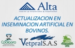 La finalidad es mejorar la eficiencia reproductiva de los hatos en los que trabajan cada uno de los inseminadores. Foto: Cortesia Colombia, regiones, estragos, Verano, invierno. Agua, sequía extrema, carencia de agua, mortandad animales, atlántico, pasturas, bajo crecimiento, Vías, peticiones Gobierno Nacional, sector agropecuario, preocupación en los sectores, CONtexto ganadero, ganaderos colombia, noticias ganaderas colombia