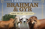 La primera exposición de Brahman y Gyr en Cimitarra se realizará en el marco de las festividades municipales del 17 al 23 de junio. Foto: Cortesía I Exposición Brahman y Gyr de Cimitarra, expo brahman, expo gyr, Exposición ganadera Cimitarra 2019, Eventos ganaderos junio 2019, cursos ganaderos, eventos ganaderos de 2019, ferias ganaderas de 2018, Ferias ganaderas Colombia junio 2019, ferias ganaderas Colombia 2019, ferias ganaderas junio 2019, ferias, Ferias Ganaderas, ferias Colombia, Eventos ganaderos, eventos ganaderos colombia, CONtexto ganadero, ganaderos colombia, ganadería colombia, noticias ganaderas colombia