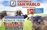 Del 5 al 7 de julio no se pierda la XXVI feria exposición agropecuaria en Sincé, Sucre. Foto: Cortesía ganaderia, ganaderia colombia, ganaderia colombiana, contexto ganadero, noticias ganaderas, noticias ganaderas colombia, exposince 2019, feria ganadera sincé 2019, feria equina sincé 2019, cogasucre, juzgamiento gyr, juzgamiento brahman, juzgamiento doble porposito, asocebu, ganaderos colombia, gnaderos sucre, ganaderos since, ganaderos