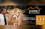 Este encuentro permitirá el acceso a información de la ganadería de Francia y mejoras que pueden ayudar a los ganaderos. Foto: Cortesia Cumbre, París, Francia, Colombia, DeCARNE, gira técnica, Embajada de Francia en Colmbia, ganadería francesa, Bienestar Animal, vínculo entre ganadería, Cambio climático, lecho de madera, Ovejas, equinos, vacunos, mercado de abasto de productos frescos, ferias, CONtexto ganadero, ganaderos colombia, noticias ganaderas colombia