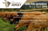 Estas son las condiciones para inscribirse en la gira, que tiene como plazo máximo de inscripción el martes 2 de julio. Foto: Cortesía 1er Foro Latinoamericano Jersey, Asojersey 2019, Foro Latinoamericano Jersey, hacienda Toscana, Lácteos Jersey, proyectos Asojersey, actividades Asojersey 2019, Fedegán Asojersey 2019, Asojersey 2019, Asociación Colombia Jersey, Asociación Colombia jersey 2019, Agroexpo, comprar ganado Jersey, Venta de ganado, venta de bovinos, CONtexto ganadero, ganaderos colombia, noticias ganaderas colombia