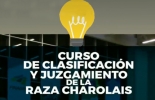 Este curso busca que los participantes aprendan a tener su propio criterio frente a los animales. Foto: Cortesia Charolaise, raza, Colombia, ganaderos, profesionales, juzgamiento, curso, aprenda más sobre Charolaise y Charbay, particularidades genéticas y fenotípicas, capacidad, evaluar a sus animales, venta, criterio técnico, identificar las fortalezas, debilidades de un ejemplar, CONtexto ganadero, ganaderos colombia, noticias ganaderas colombia