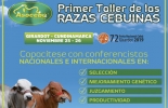 No deje de asistir al Primer Taller de Razas Cebuinas en Girardot. Foto: twimg.com ganaderia, ganaderia colombia, ganaderia colombiana, contexto ganadero, noticias ganaderas, noticias ganaderas colombia, taller asocebu, taller razas cebuinas, feria nacional cebu 2019, girardot 2019, bondades raza cebu, ganaderos, mejoramiento genetico, ganaderos colombia