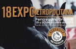 Este encuentro reúne a los mejores criadores y ejemplares de toda Colombia. Foto: asofinotv.com 18° Expometropolitana, Expometropolitana, Feria Equina grado B, feria equina en Rionegro, caballistas, criadores de caballo, Caballo Criollo Colombiano