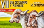 El remate se realizará el día 12 de octubre en la Hacienda La Fortuna ubicada en Tolú, Sucre. Foto: Cortesía Ganadería, ganadería colombia, Ganadería colombiana, CONtexto ganadero, noticias ganaderas, noticias ganaderas colombia, Hacienda La Fortuna, dia de campo hacienda la fortuna, dia de campo cogasucre, Gyr, gyr y sus cruces, Tolú, Sucre, ganaderos tolú, ganaderos colombia, ganaderos, mejoramiento genetico gyr, razas lecheras
