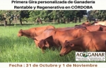 En el marco de este evento, los participantes visitarán 4 proyectos regenerativos alrededor de Montería. Foto: cortesía. Gira rentable y regenerativa en Córdoba, ganadería rentable, Ganadería regenerativa, ganadería regenerativa en Córdoba, evento ganadero en Córdoba, Acoganar