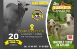 La actividad es organizada por el Comité de Ganaderos del municipio de Arauca. Foto: La Voz del Cinaruco. ganadería, ganadería colombia, noticias ganaderas, noticias ganaderas colombia, contexto ganadero, subasta arauca, cuarta subasta arauca, ganaderos de arauca, comité de ganaderos del municipio de arauca, jenny caropresse hoyos, subasta arauca octubre, complejo ferial juan pablo canay,