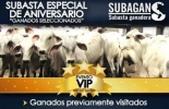 No se pierda la celebración de aniversario de Subagan, con mas de 950 ganados para subasta. Foto: Cortesía Ganadería, ganadería colombia, Ganadería colombiana, CONtexto ganadero, noticias ganaderas, noticias ganaderas colombia, subagan, Subasta ganadera, ganados especializados, bienestar amimal, sacrificio animal, ganaderos, ganaderos colombia, Planeta Rica