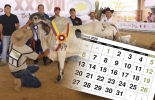Desde el 29 de enero al 2 de febrero se realizará Expomalocas 2020, con exposición de varias razas y juzgamiento de ejemplares cebuinos. Foto: meta.gov.co Eventos ganaderos, ferias ganaderas, ferias ganaderas Colombia, Eventos ganaderos enero 2020, subastas, inicio 2020, enero 2020, Venta de ganado, subastas ganaderas, CONtexto ganadero, ganaderos Colombia, noticias ganaderas Colombia