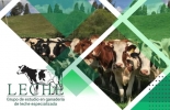 Los estudiantes de este grupo de estudio llamado ‘Leche Udea’ quieren que tanto ellos como los otros actores participantes en la actividad ganadera, tengan la mejor formación en temas enfocados en la lechería especializada. Foto: Cortesia Ganadería, ganadería colombia, Ganadería colombiana, CONtexto ganadero, noticias ganaderas, noticias ganaderas colombia, evento universidad antioquia, evento leche, lecherías, hato ganadero, Lechería especializada, estudiantes universidad de antioquia, facultad ciencias agrarias udea, ganaderos, ganaderos colombia