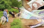 No se quede sin el cupo al taller 'Cómo ganar más dinero en su finca ganadera' que se realizará en Bogotá. Foto: todosobreganado.com - confidencialcolombia.com Ganadería, ganadería colombia, Ganadería colombiana, CONtexto ganadero, noticias ganaderas, noticias ganaderas colombia, mis vacas, cómo ganar más dinero, taller mis vacas, productividad finca, rentabilidad finca, ingresos finca, ganaderos, ganaderos colombia