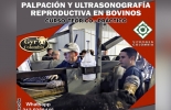 Se crea el evento en el que el cupo máximo de participantes es 10, pues la idea es que se haga de forma personalizada para que tenga mejor y mayor acogida en las personas que asisten. Foto: Cortesía Ganadería, ganadería colombia, Ganadería colombiana, CONtexto ganadero, noticias ganaderas, noticias ganaderas colombia, ultrasonografía, reproductividad bovina, anatomía bovina, gyr Colombia, evento gyr colombia, San Alberto, Cesar, ganaderos Cesar, ganaderos, ganaderos colombia