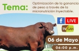 El invitado para esta ocasión es Bruno Sivieri de Lima, gerente técnico y de marketing Virbac Brasil. Foto: TVGAN Micronutrición inyectable, micronutrición inyectable en ganado bovino, nutrición de ganado, Optimización de la ganancia de peso a través de la micronutrición inyectable, facebook live, capacitación, capacitación en línea, capacitación online, fedegan, Colombia, Fedegán capacitación, capacitación Facebook Live, formación ganaderos, capacitación ganaderos, capacitación ganadería, coronavirus, COVID-19, cuarentena, Ganadería, ganadería colombia, noticias ganaderas, noticias ganaderas colombia, CONtexto ganader