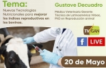 Conéctese todos los miércoles y jueves a las 6 p. m. en las charlas por Facebook Live de TVGAN y Fedegán. Foto: TVGAN Nuevas tecnologías nutricionales para mejorar índices reproductivos en bovinos, micronutrición inyectable en ganado bovino, nutrición de ganado, nutrición reproducción, facebook live, capacitación, capacitación en línea, capacitación online, fedegan, Colombia, Fedegán capacitación, capacitación Facebook Live, formación ganaderos, capacitación ganaderos, capacitación ganadería, coronavirus, COVID-19, cuarentena, Ganadería, ganadería colombia, noticias ganaderas, noticias ganaderas colombia, CONtexto ganadero