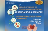 El nuevo formato es promovido por la gran alianza: Asocebú, Fedegán, Ricardo Barreneche y TVAgro. Foto: Cortesía. Primer remate de semen, primer remate de embriones, material genético, donación, ganaderías especializadas, desarrollo biotecnológico, caso de ejemplo, inédito remate, noticias de ganadería colombiana, CONtexto ganadero.