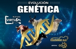 Los interesados podrán adquirir animales élite provenientes de Córdoba, Sucre, Bolívar, Atlántico y Antioquia. Foto: Cortesía. Ganadería, ganadería colombia, noticias ganaderas, noticias ganaderas colombia, CONtexto ganadero, evolución genética, remate virtual evolución genética, Subastar, Subastanet, remates subastar, Eduardo Kerguelén