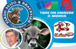 Los esquemas de producción de Pardo Suizo serán expuestos por Alejandro Galvis Ramírez. Foto: Cortesía. No se pierda el Facebook Live sobre la emblemática ganadería El Madrigal, especialista en la raza Pardo Suizo, vacas campeonas, dos esquemas productivos, gerencia de pastos, sistema neozelandés, encasetamiento, confinamiento, ganancias optimas, vacas muy productivas, Facebook Live, Alejandro Galvis, Floridablanca -Santander, secretos productivos, noticias de ganadería colombiana, CONtexto ganadero.