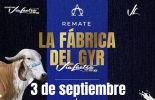 Este es el segundo evento de Agropecuaria Vía Láctea que se transmitirá por Comercializadora Virtual este jueves 3 de septiembre. Foto: https://www.instagram.com/asocebucomercializadora/ Remate comercializadora virtual, Fábrica del gyr, Agropecuaria Vía Láctea, remates virtuales, subastas colombia, venta de ganado Colombia, venta de ganado cebú en Colombia, remates de ganado cebú, Federación Colombiana de Ganaderos, fedegan, la Asociación Colombiana de Criadores de Ganado Cebú, Asocebú, el canal TV Agro, coronavirus, coronavirus Colombia, COVID-19, cuarentena, Ganadería, ganadería colombia, noticias ganaderas, noticias ganaderas colombia, CONtexto ganadero